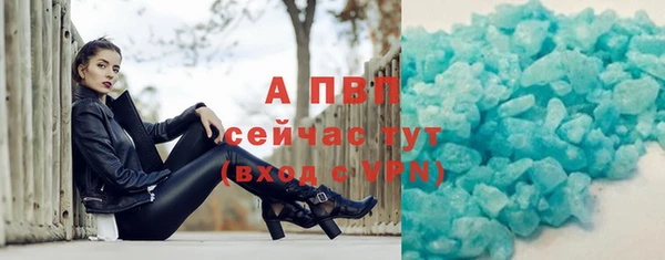 СК Алексин