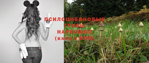 марки lsd Алексеевка